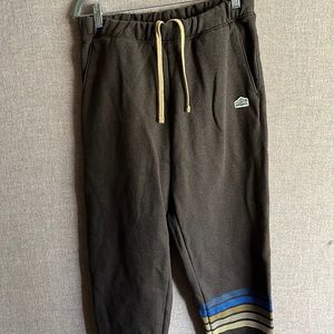 Patagonia sweatpants